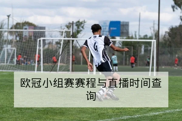 中超当轮赛果实时比分与积分变动速查