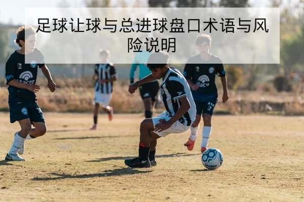 中超当轮赛果实时比分与积分变动速查